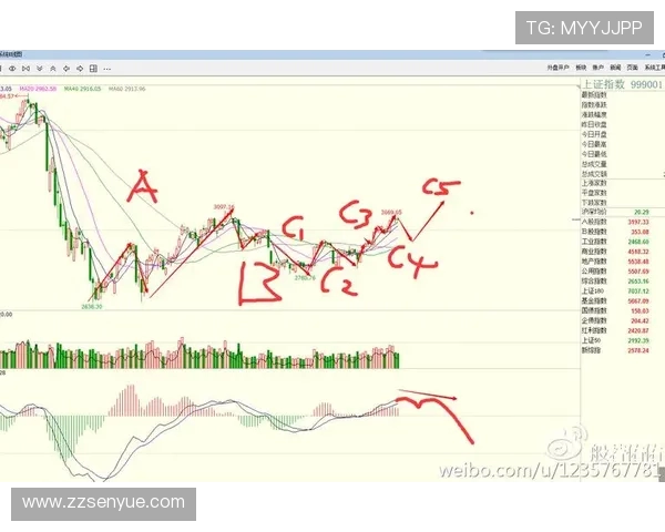 深入分析西安排球队的防守策略与战术执行细节