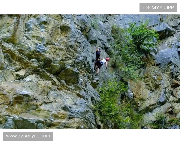 重庆极限运动队的团队协作探索与挑战极限运动的魅力与精神