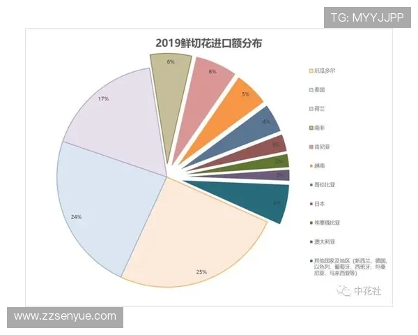 独家分析:上海网球队的实力对比 独家分析:上海网球队的实力对比